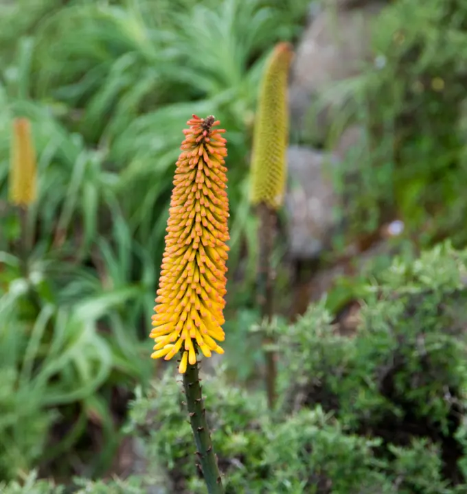 12-Day Omo Valley, Awash & Harar Adventure - A cultural and wildlife adventure through Ethiopia’s most fascinating landscapes...